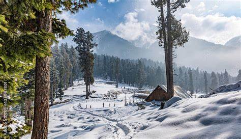 sonmarg tour cost